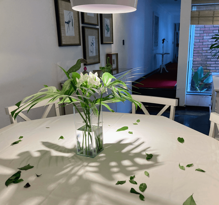 A despedida de solteiro